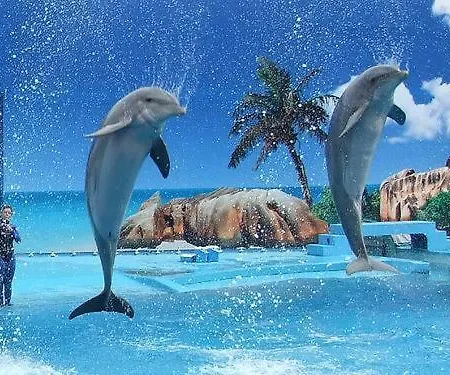 Iconic With 2 Bedrooms * Αλμπουφέιρα