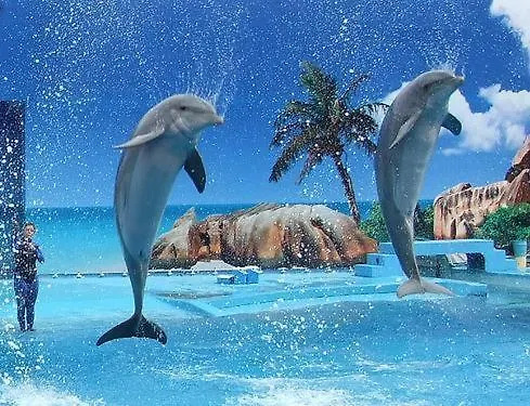 Iconic With 2 Bedrooms * Albufeira